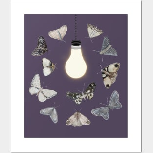 Moths to a Light Posters and Art